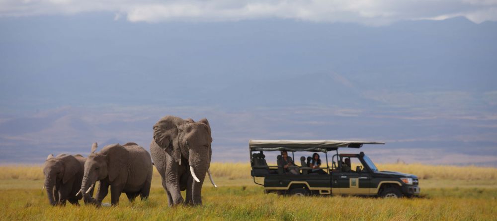 Tortilis Camp, Amboseli National Reserve, Kenya - Image 4