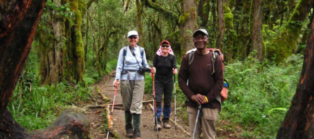 Lemosho Route, Kilimanjaro, Tanzania - Image 5