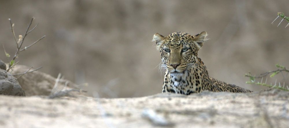 Sarara, Mathews Range, Kenya - Image 8