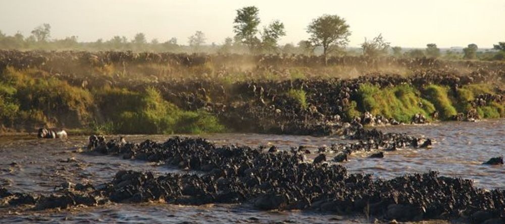 Migration river crossings - Image 1