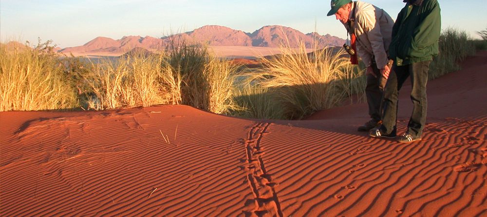 Wolwedans Dune Lodge, Sossusvlei, Namibia - Image 16