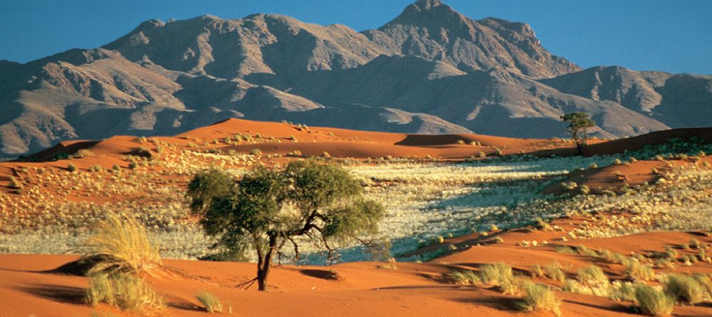 Wolwedans Dune Lodge, Sossusvlei, Namibia - Image 14