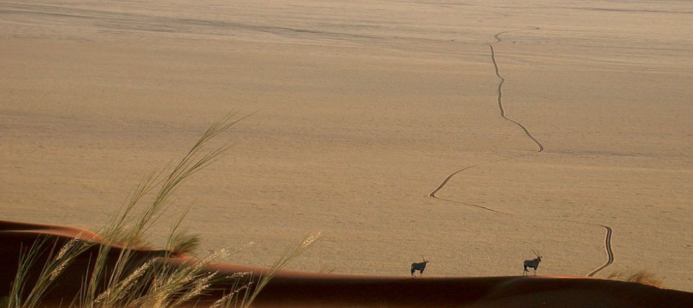 Wolwedans Dune Lodge, Sossusvlei, Namibia - Image 17