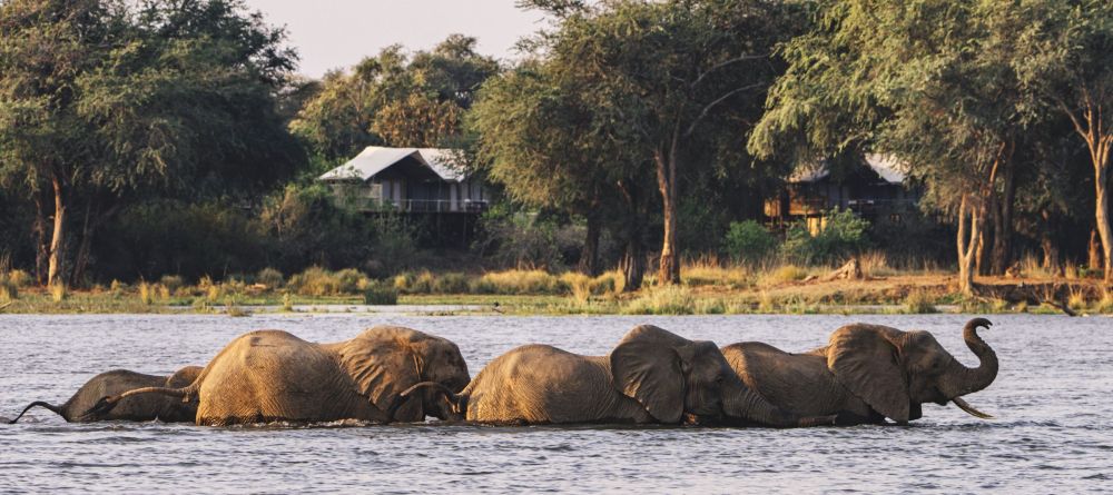 Anabezi Camp - Image 6