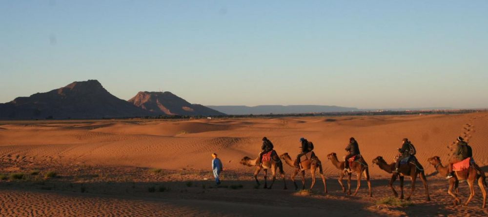 Luxury Desert Camp - Image 1