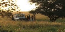 Ronjo Camp, Serengeti National Park, Tanzania