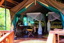 Tent at Gombe Forest Lodge, Gombe National Park, Tanzania