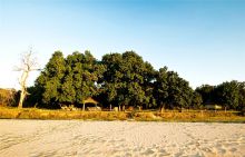 Camp exterior at Nsolo Bush Camp, South Luangwa National Park, Zambia