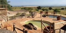 Mkombe's House, Serengeti National Park, Tanzania