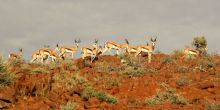 Camp Kipwe, Damaraland, Namibia