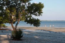 Enjoy beach walks at Kinasi Lodge, Mafia Island, Tanzania (Mango staff photo)