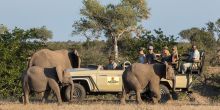 Mashatu Lodge, Mashatu Game Reserve, Botswana