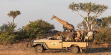 Mashatu Lodge, Mashatu Game Reserve, Botswana