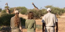 Mashatu Lodge, Mashatu Game Reserve, Botswana