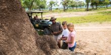 Tembo Plains Camp