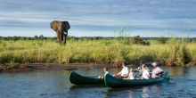 Tembo Plains Camp