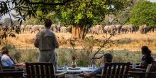 Afternoon tea with the elephants at Luwi Bush Camp, South Luangwa National Park, Zambia