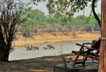 Deck view at Mchenja Bush Camp, South Luangwa National Park, Zambia