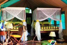 Tent at Gombe Forest Lodge, Gombe National Park, Tanzania