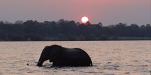 Ra-Ikane Sunset Cruise, Victoria Falls, Zimbabwe