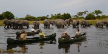 Canoeing with the elephants