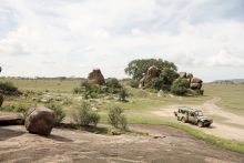 Game drive at Dunia Camp, Serengeti National Park, Tanzania