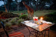 A common view for dinner- Giraffe Manor, Nairobi, Kenya