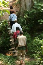 A jungle walk at Gombe Forest Lodge, Gombe National Park, Tanzania