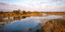 Abu Camp, Okavango Delta, Botswana