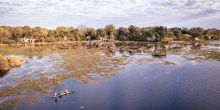 Abu Camp, Okavango Delta, Botswana