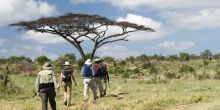 Waterbuck Lodge