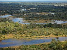 Aerial shot of wetlands at Selinda Canoe Trail, Linyati Wetlands, Botswana (Wilderness Safaris)