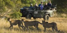 Ngala Tented Camp, Kruger National Park, South Africa © AndBeyond