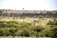 View at Naboisho Camp, Masai Mara National Park, Kenya