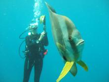 Azura Retreats, Bazaruto Archipelago, Mozambique