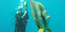 Azura Benguerra diving