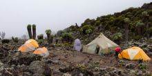 Lemosho Route, Kilimanjaro, Tanzania