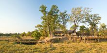 Zungulila Bushcamp, South Luangwa National Park, Zambia