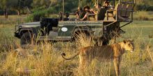 Kuyenda Bush Camp, South Luangwa National Park, Zambia