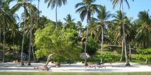 The lodge blends perfectly into the pristine beach setting at Kinasi Lodge, Mafia Island, Tanzania