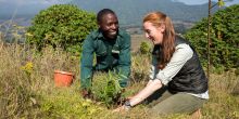 Bisate Tree Planting Experience