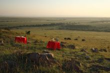 Breakfast in the bush at Naibor Camp, Masai Mara National Reserve, Kenya