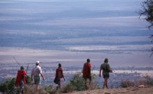 Bush walking at Ngare Serian Camp, Masai Mara National Reserve, Kenya