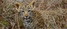 Bushman's River Lodge, Shamwari Game Reserve, South Africa