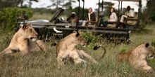 Sandibe Safari Lodge, Okavango Delta, Botswana