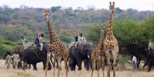 Camp Jabulani, Kapama Private Game Reserve, South Africa