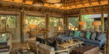 Camp Moremi Lounge