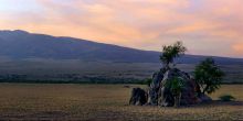 Olduvai Camp