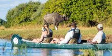 Royal Zambezi Lodge, Lower Zambezi National Park, Zambia