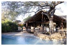 Chapungu Luxury Tented Camp, Thornybush Game Reserve, South Africa